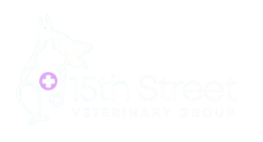 15th Street Veterinary Group